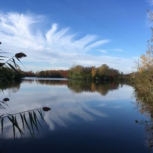 Meet your Posher, Sylvie